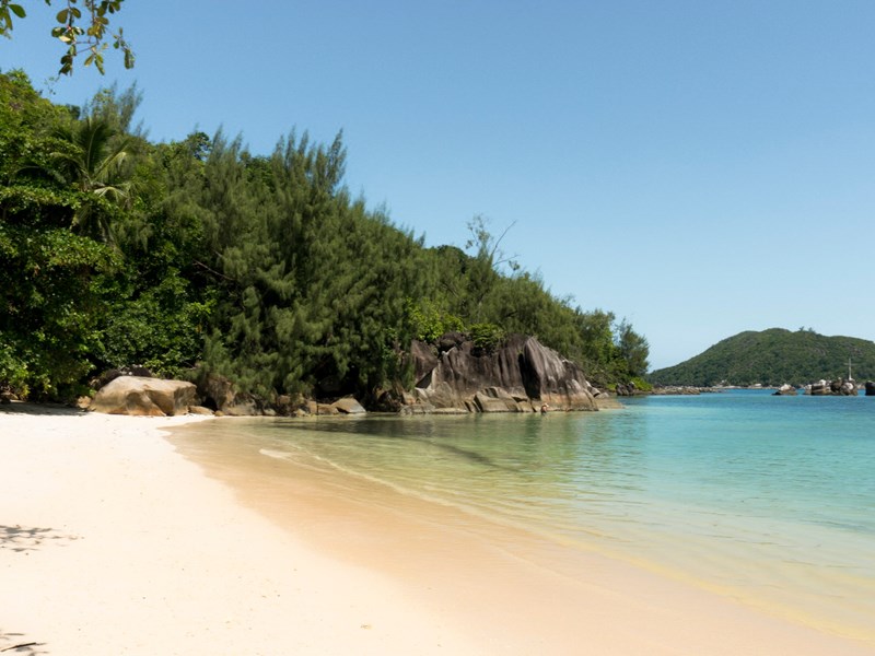 Une plage bordée par la végétation tropicale