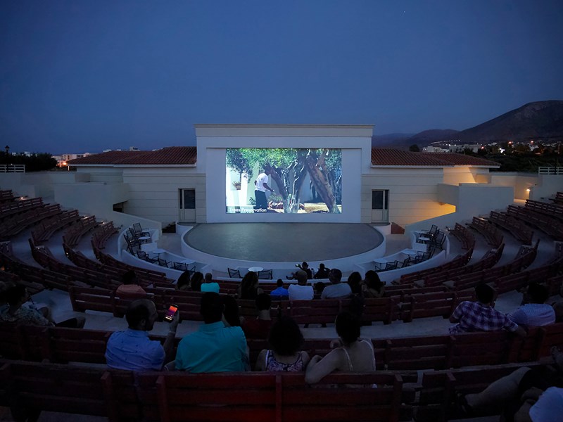 Le cinéma en plein air