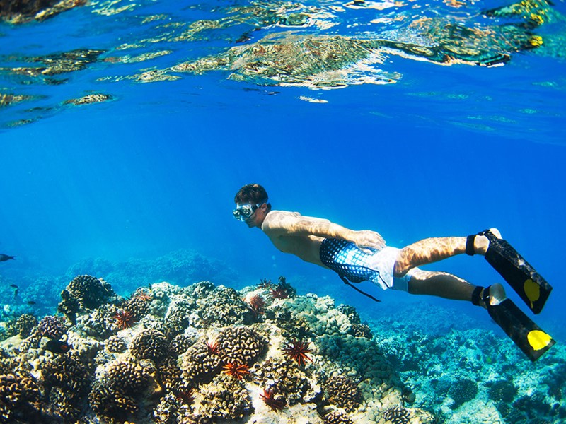 Les snorkelers seront éblouis par certains des meilleurs sites d'Indonésie.