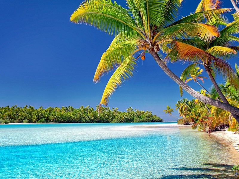 Aitutaki et ses plages paradisiaques 
