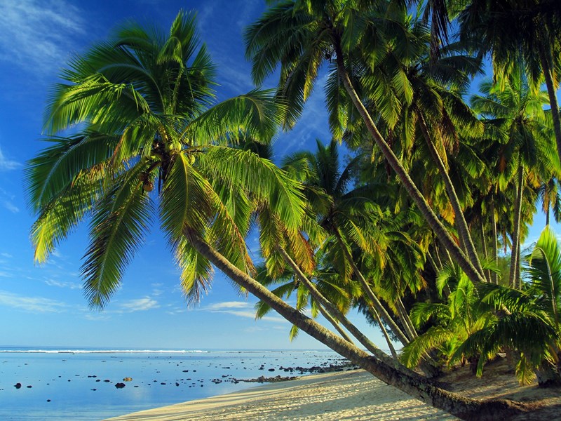 Paradis naturel des îles Cook
