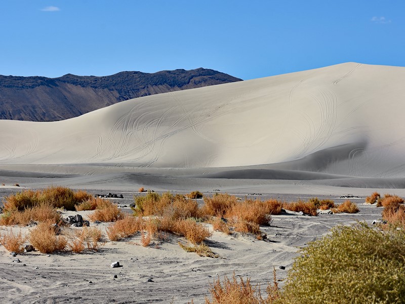 Sand Mountain, une immense dune de sable, longue de 3,2 kilomètres