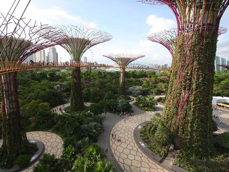 Visite des parcs exubérants de Singapour