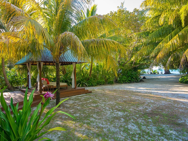 Le jardin du Denis Private Island aux Seychelles