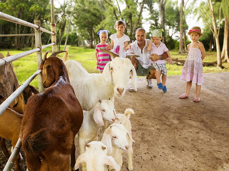 La ferme du Denis Private Island situé aux Seychelles