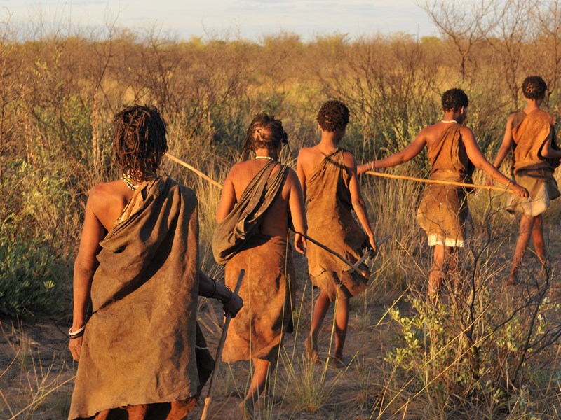 Partez à la rencontre des Bushmen