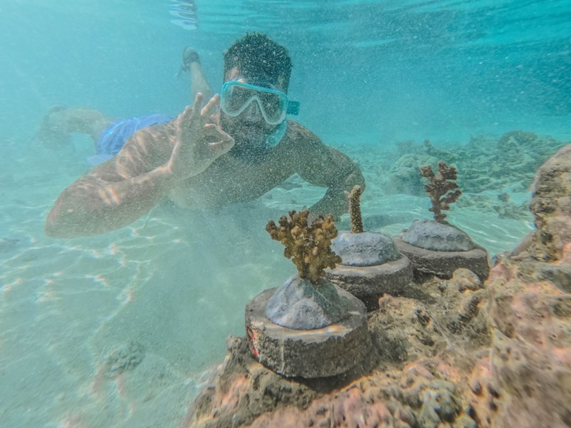 Explorez les exceptionnels fonds marins