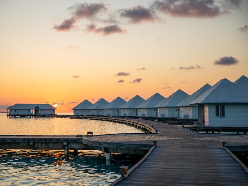 Contemplez un superbe coucher de soleil