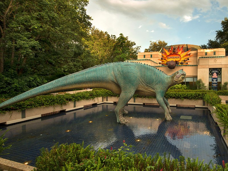Explorez le monde des dinosaures au Disney's Animal Kingdom.