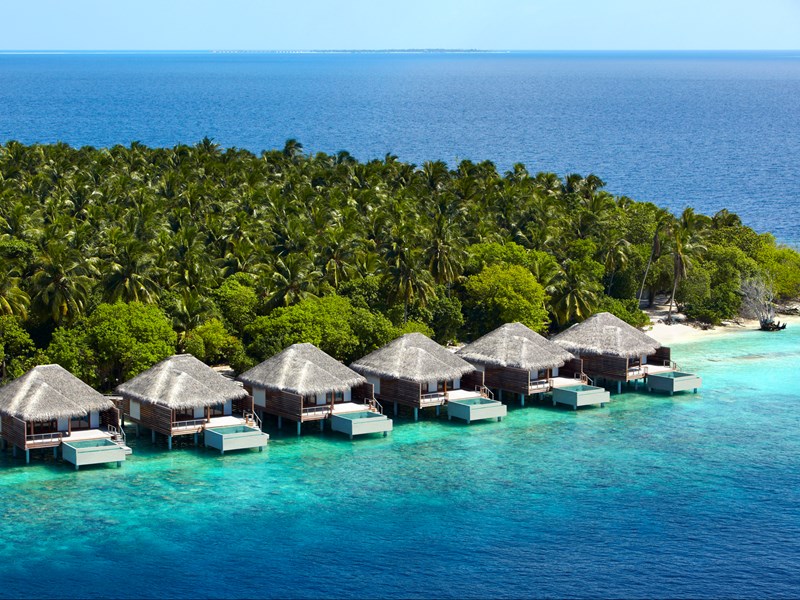 Un écrin tropical 