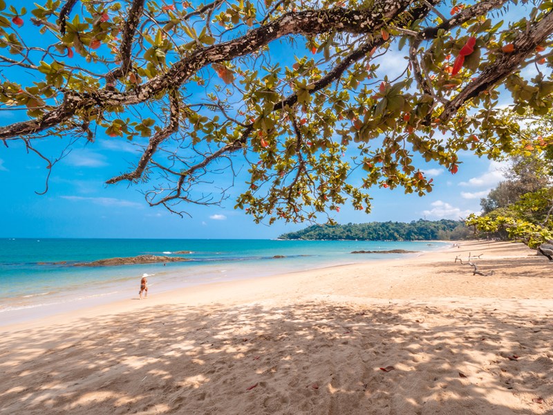 La plage privée 