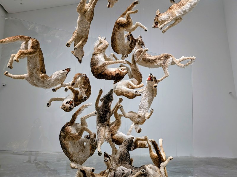 Chute figée à Naoshima