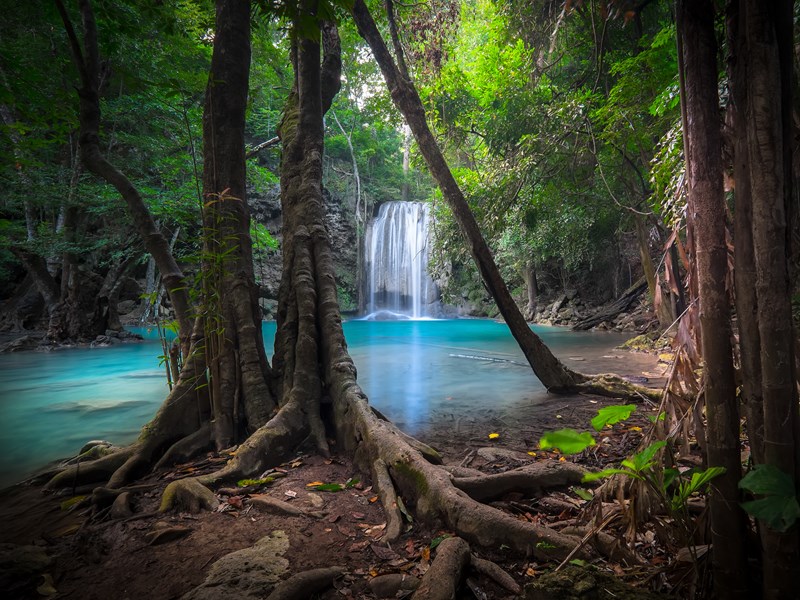 La nature sauvage du parc d'Erawan