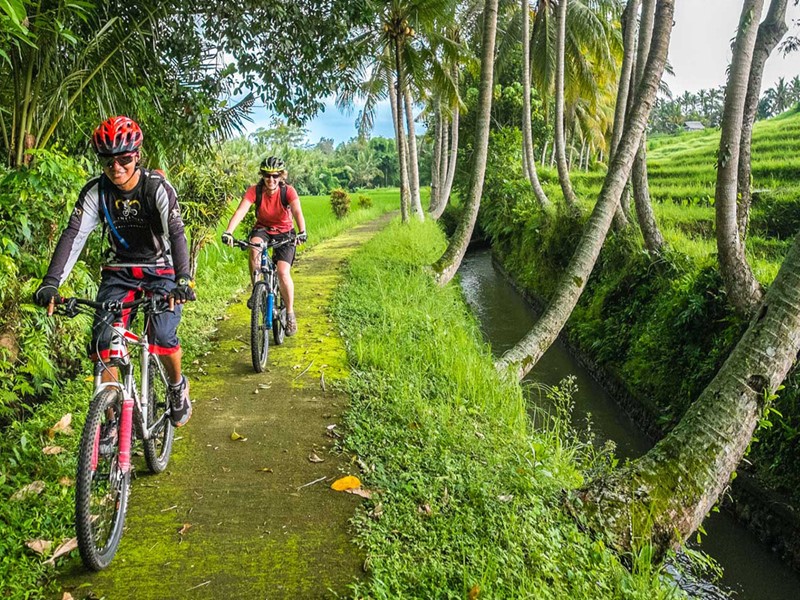 Enfourchez votre vélo pour une escapade de quelques heures dans la superbe campagne d'Ubud
