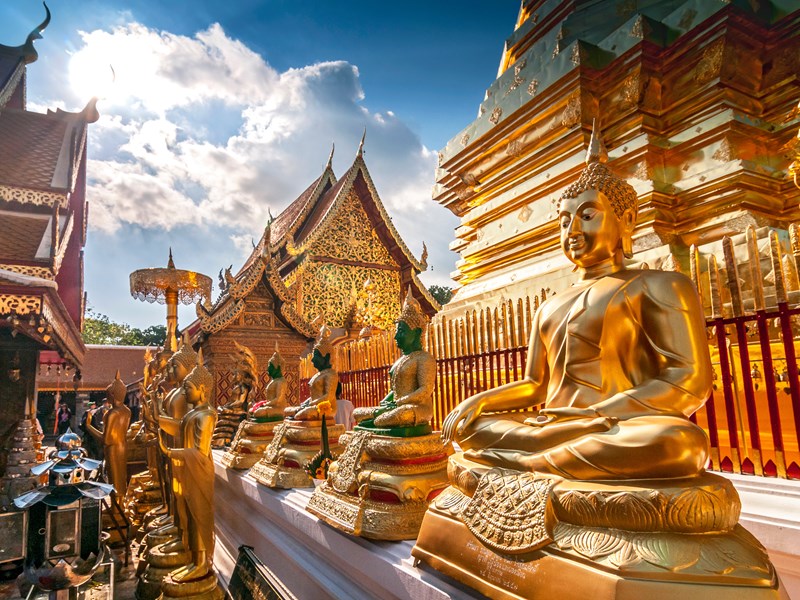 Admirez les buddhas d'or du temple