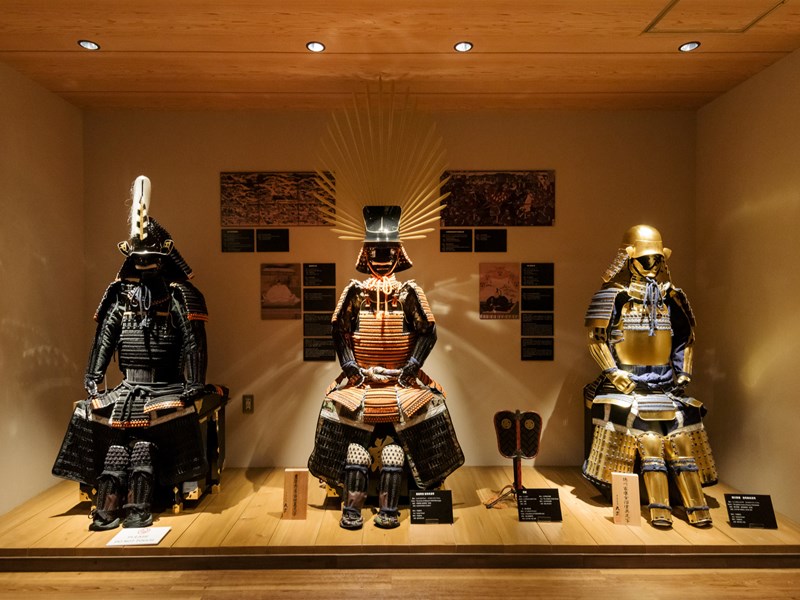 Immersion captivante dans l'univers des légendaires guerriers japonais