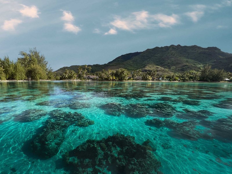 Niché au coeur d'un emplacement privilégié