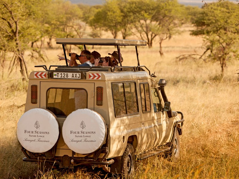 Partez explore le Serengeti en 4x4