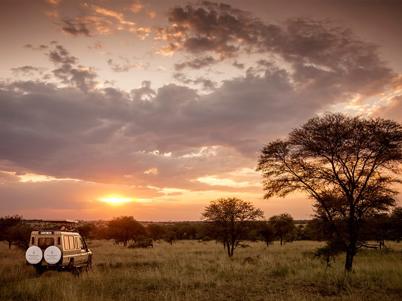 Safari au soleil couchant