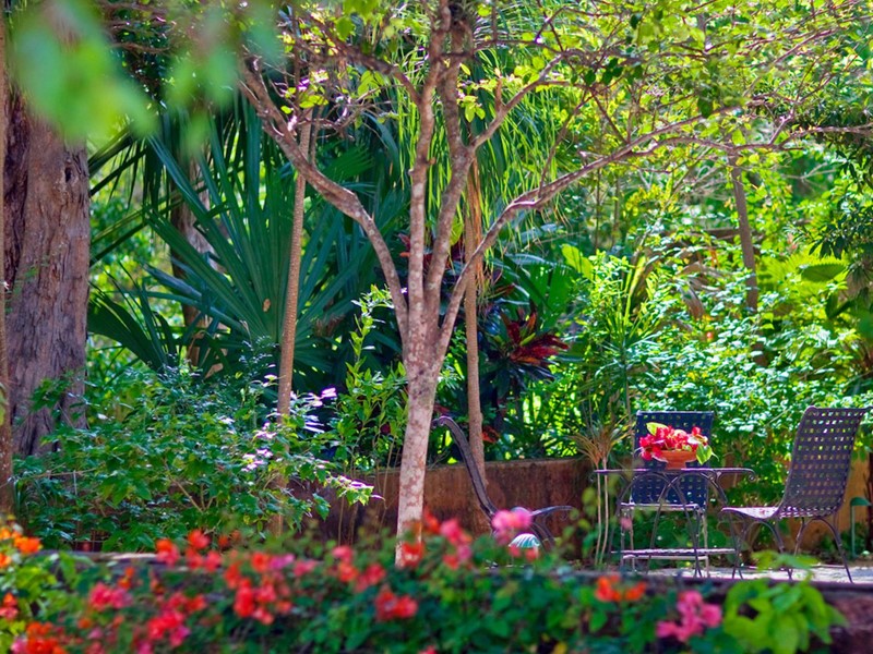 Le jardin botanique de l'Hacienda Santa Rosa à Yucatan