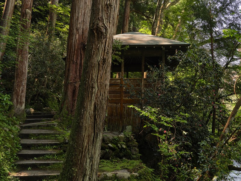 Immersion au cœur des montagnes d’Ishikawa