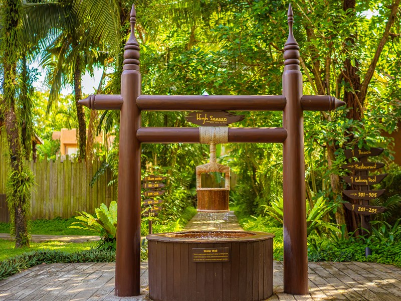 Le jardin verdoyant
