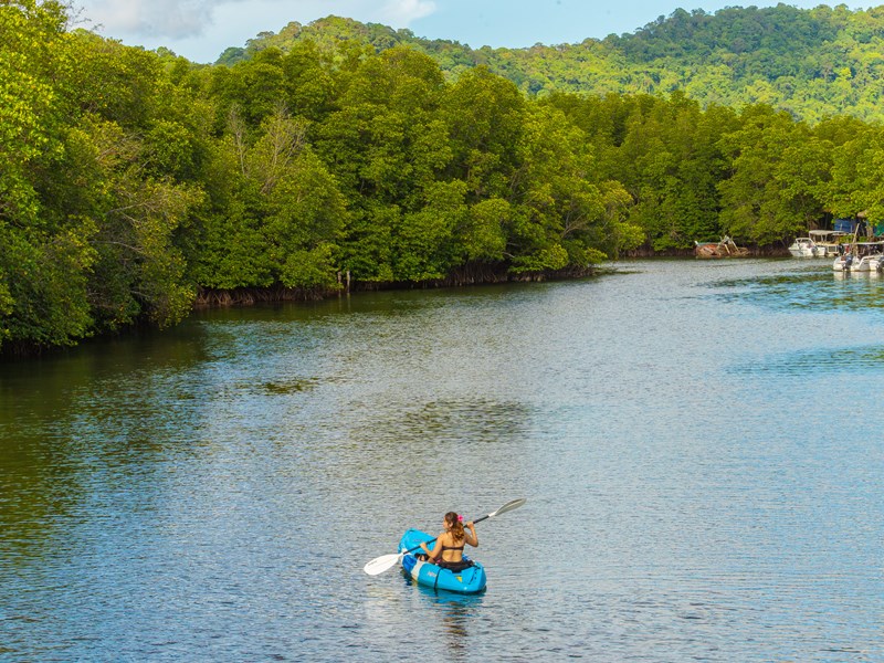 Explorez la mangrove en kayak