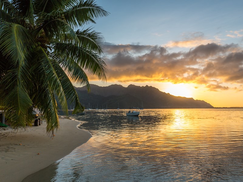 Admirez les reflets dorés sur le lagon de Moorea