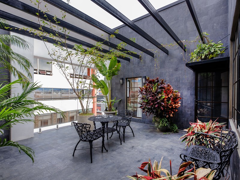 Un oasis urbaine