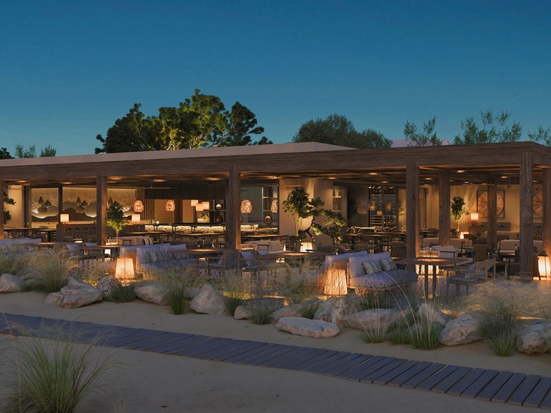 L’art de la cuisine asiatique au restaurant Anaya