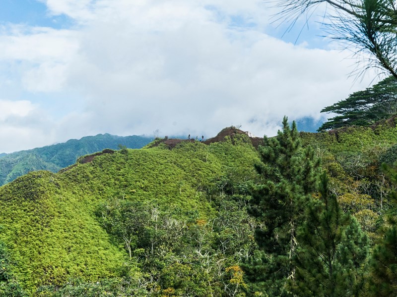 Explorez la nature généreuse de Tahiti