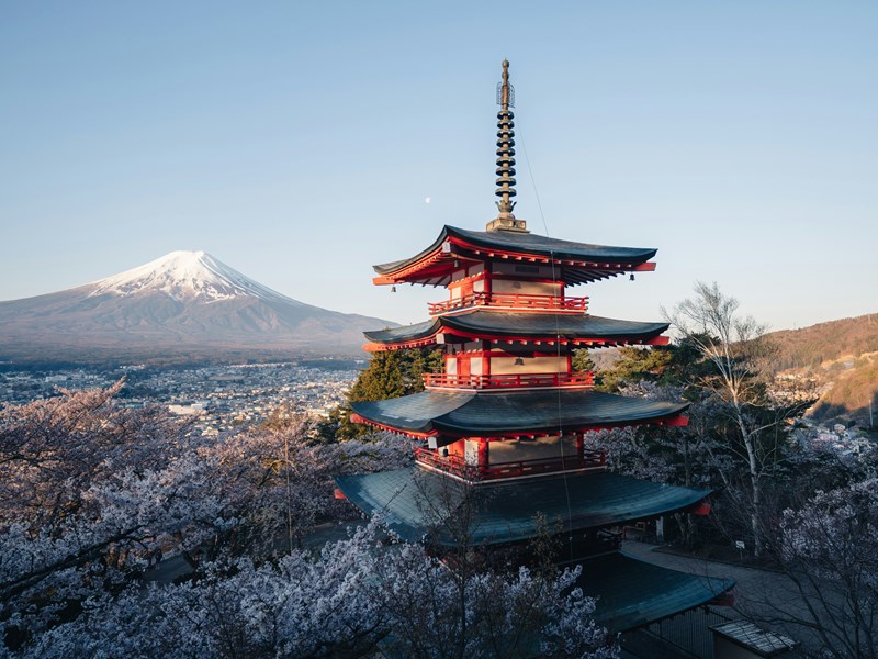L'une des plus belles pagodes au Japon