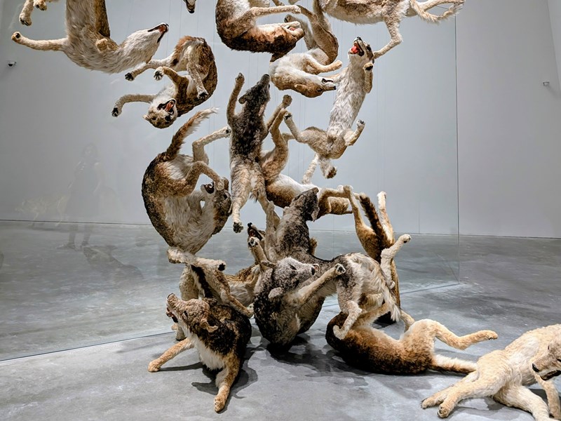 Naoshima, ville des arts