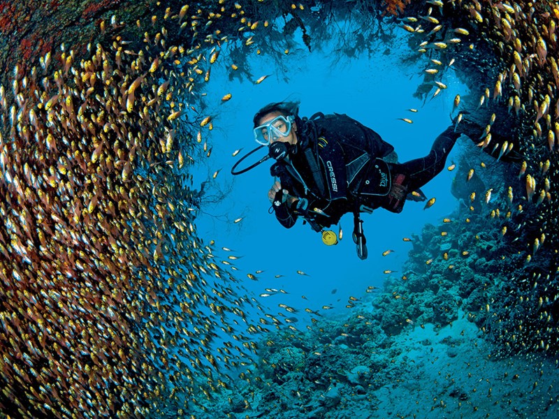 Explorez les fonds marins de l'atoll de Lhaviyani