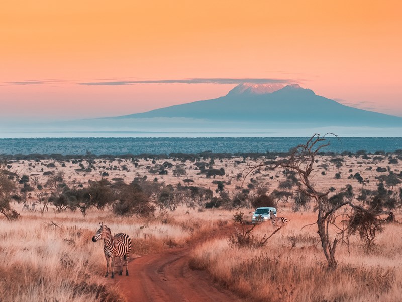 Tsavo, sanctuaire de la faune africaine 