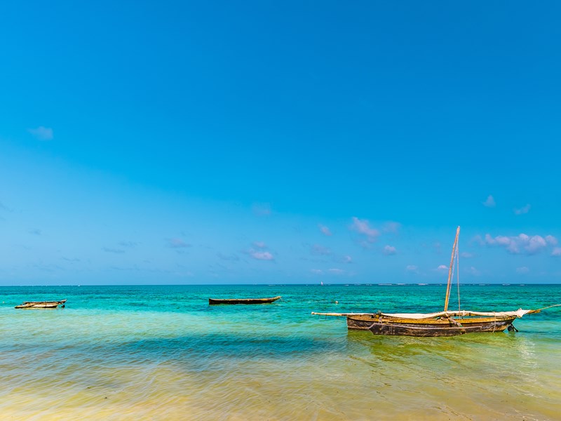 Un décor paradisiaque à Diani Beach