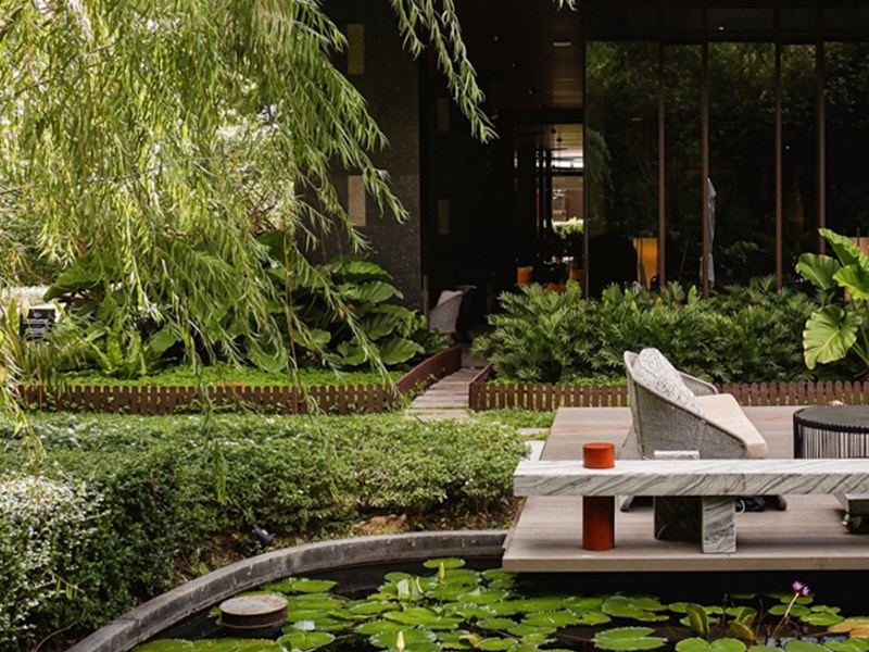 La fraicheur des jardins