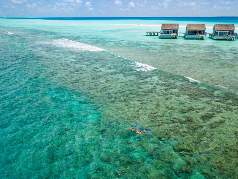 Un monde sous-marin fascinant à explorer