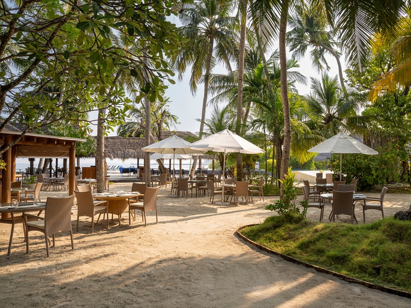 Une pause café à l'Island Coffee Shop