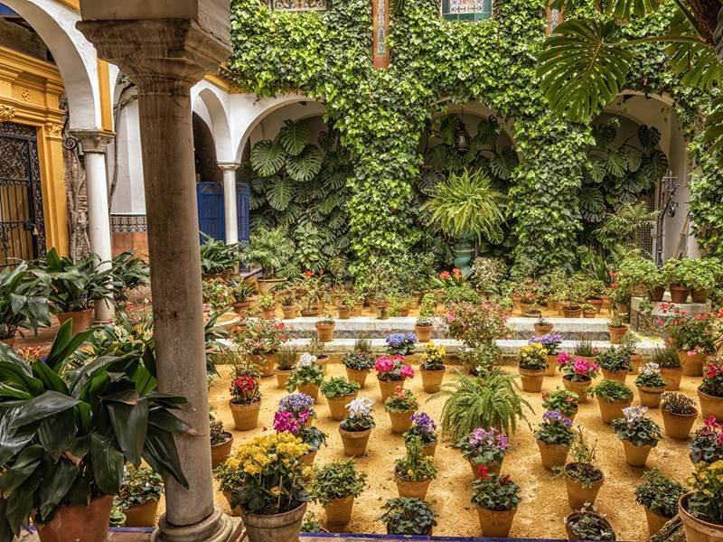 Découvrez de magnifiques patios fleuris