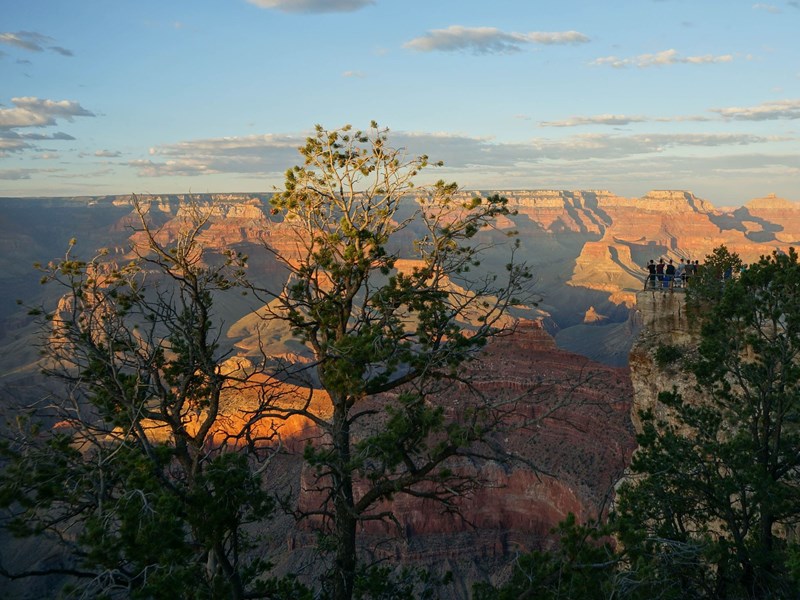 L'immensité du Grand Canyon