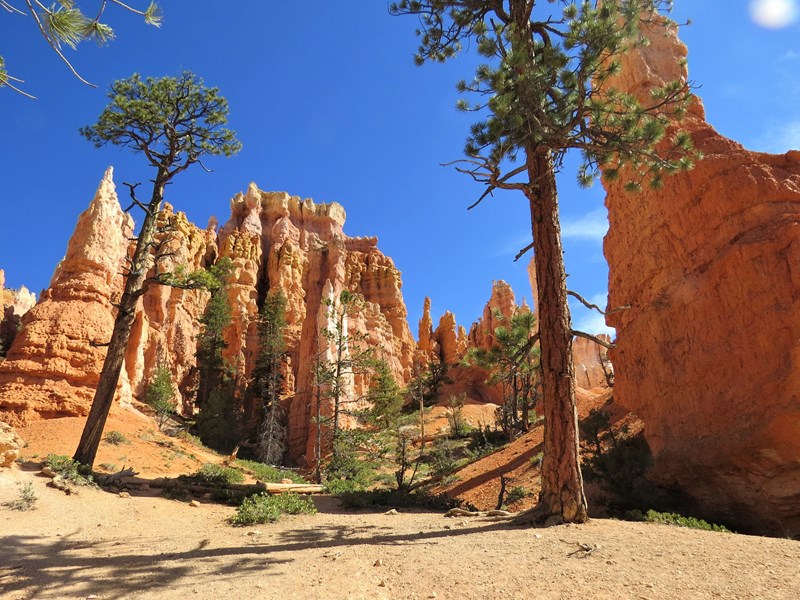 Les cheminées de fées de Bryce Canyon