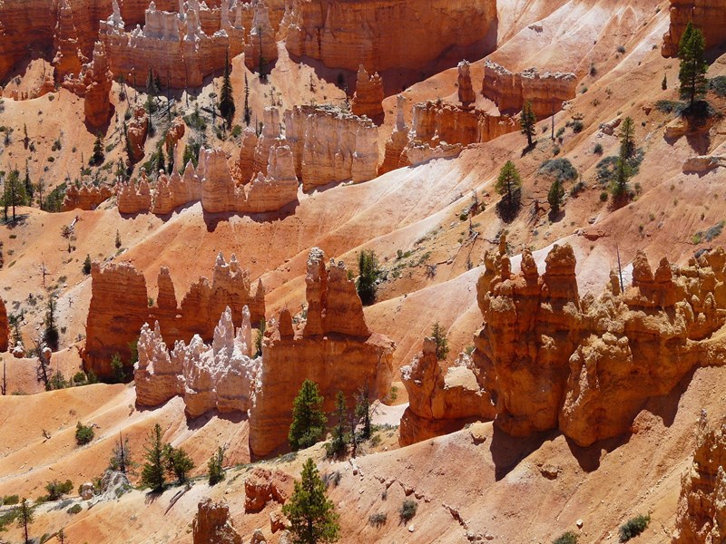 Les cheminées de fées de Bryce Canyon