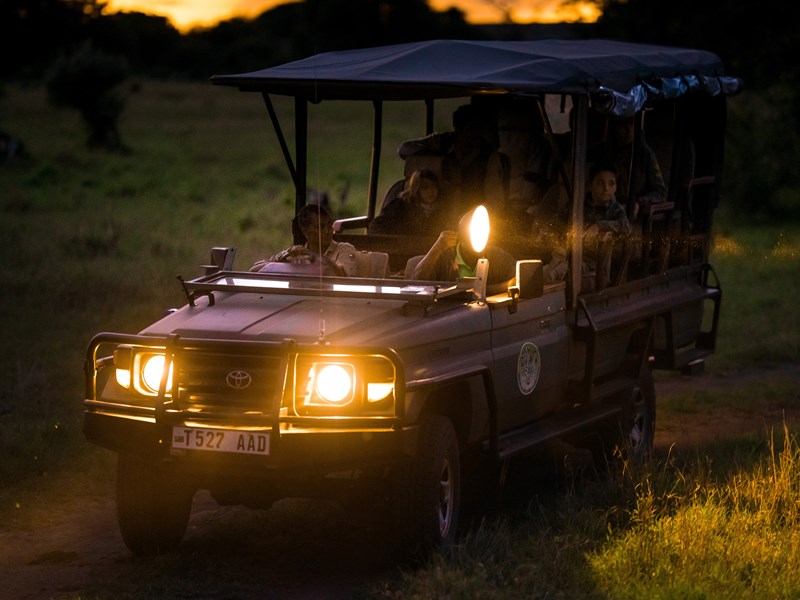 Vivez un safari unique lors de votre safari de nuit