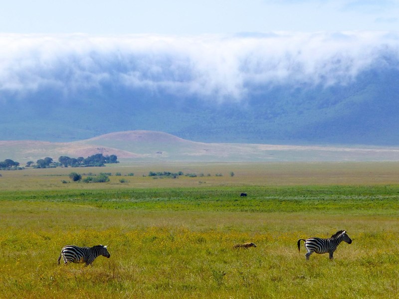 Fabuleux cratère du Ngorongoro