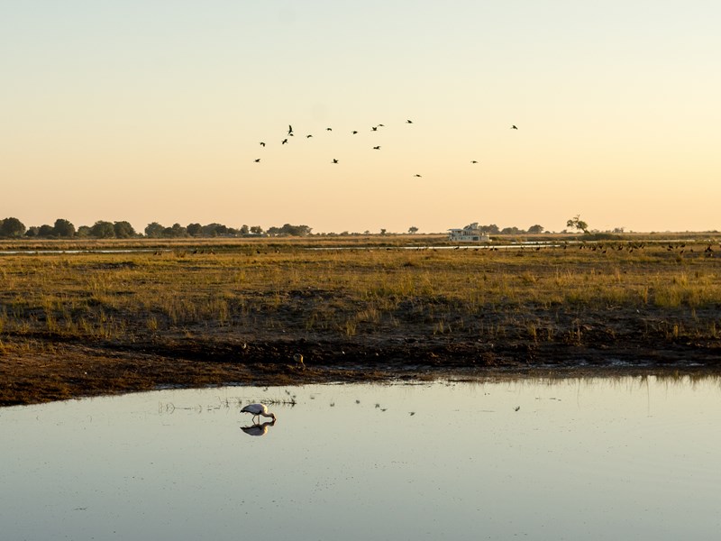 Rejoignez le parc national de Chobe