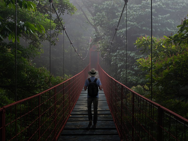 Marchez entre brumes et mystères à Monteverde