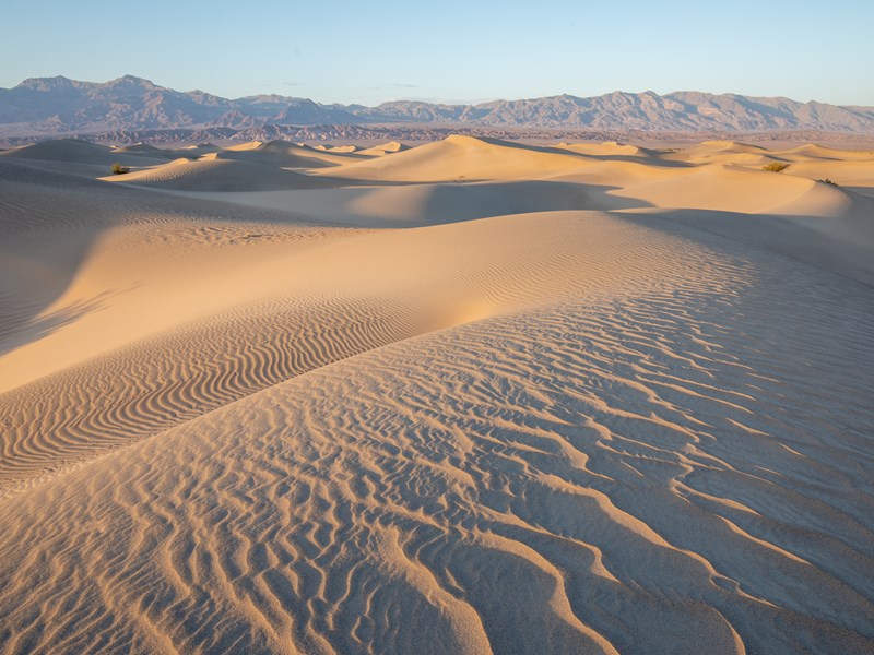 Observez les dunes infinies du Mesquite Flat