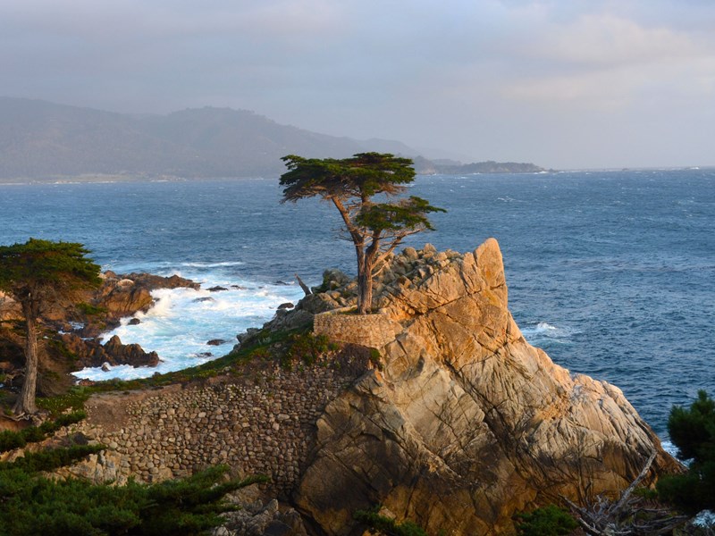 La beauté de la 17 miles drive