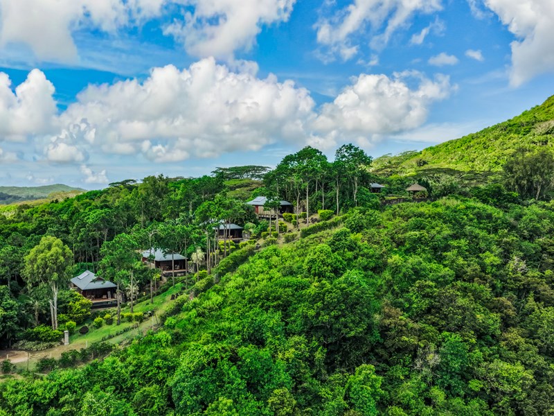 Des villas nichées dans un écrin de verdure